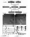 Fig. 23 - Colloidal semiconductor metal chalcogenide nanostructures