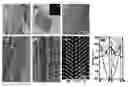 Fig. 01 - Compositions comprising free-standing two-dimensional nanocrystals