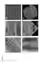 Fig. 07 - Compositions comprising free-standing two-dimensional nanocrystals