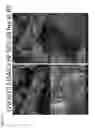 Fig. 17 - Compositions comprising free-standing two-dimensional nanocrystals