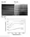Fig. 58 - Compositions comprising free-standing two-dimensional nanocrystals