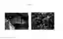 Fig. 03 - Method for preparing a hydrosilane using hetero atom containing activated carbon