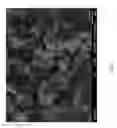 Fig. 03 - Molecular sieve SSZ-102