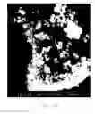 Fig. 13 - Zeolite production method