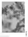 Fig. 19 - Treatment of Aqueous Systems