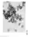 Fig. 22 - Treatment of Aqueous Systems