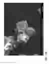 Fig. 29 - Treatment of Aqueous Systems