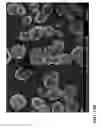 Fig. 31 - Treatment of Aqueous Systems
