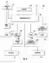 Fig. 10 - Systems and methods for enhanced facultative biosolids stabilization