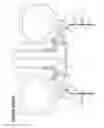 Fig. 02 - DEVICE AND METHOD FOR MANUFACTURING INORGANIC FIBERS BY INTERNAL CENTRIFUGAL SPINNING