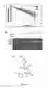 Fig. 03 - Small molecule RNase inhibitors and methods of use