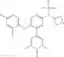 Fig. 337 - Bromodomain inhibitors