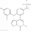 Fig. 369 - Bromodomain inhibitors