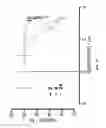 Fig. 34 - COMPOUNDS, COMPOSITIONS COMPRSING SAME, AND METHODS RELATED THERETO