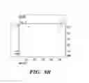 Fig. 13 - ROSEOBACTICIDES AND USES THEREOF