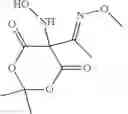 Fig. 08 - N-substituted hydroxylamine derivatives with carbon-based leaving groups