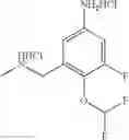 Fig. 43 - Macrocyclic factor VIIa inhibitors