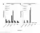 Fig. 05 - BMP INHIBITORS AND METHODS OF USE THEREOF
