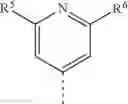 Fig. 33 - Substituted 6,7-dihydropyrazolo[1,5-a]pyrazines as negative allosteric modulators of mGluR2 receptors