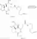 Fig. 22 - Methods and compositions for studying, imaging, and treating pain