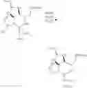 Fig. 47 - Methods and compositions for studying, imaging, and treating pain