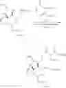 Fig. 70 - Methods and compositions for studying, imaging, and treating pain