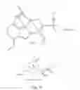 Fig. 04 - Dihydroetorphines and their preparation