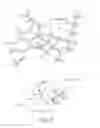 Fig. 05 - Dihydroetorphines and their preparation