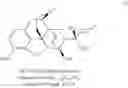 Fig. 43 - Dihydroetorphines and their preparation