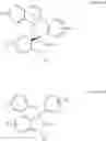 Fig. 02 - Spiro-oxazines, indolinones and preparation thereof