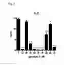 Fig. 02 - NOVEL alpha-GALACTOSYL CERAMIDE ANALOGS AND USES THEREOF