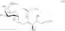 Fig. 43 - NOVEL alpha-GALACTOSYL CERAMIDE ANALOGS AND USES THEREOF
