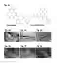 Fig. 03 - SELF-ASSEMBLED MICRO-AND NANOSTRUCTURES