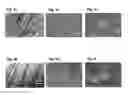 Fig. 04 - SELF-ASSEMBLED MICRO-AND NANOSTRUCTURES