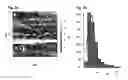Fig. 07 - SELF-ASSEMBLED MICRO-AND NANOSTRUCTURES