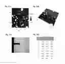 Fig. 11 - SELF-ASSEMBLED MICRO-AND NANOSTRUCTURES