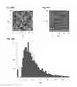 Fig. 14 - SELF-ASSEMBLED MICRO-AND NANOSTRUCTURES