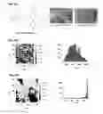 Fig. 15 - SELF-ASSEMBLED MICRO-AND NANOSTRUCTURES