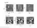 Fig. 16 - SELF-ASSEMBLED MICRO-AND NANOSTRUCTURES