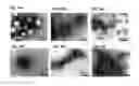 Fig. 17 - SELF-ASSEMBLED MICRO-AND NANOSTRUCTURES