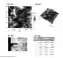 Fig. 19 - SELF-ASSEMBLED MICRO-AND NANOSTRUCTURES