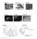 Fig. 22 - SELF-ASSEMBLED MICRO-AND NANOSTRUCTURES