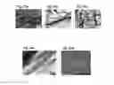 Fig. 24 - SELF-ASSEMBLED MICRO-AND NANOSTRUCTURES