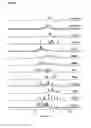 Fig. 05 - Peptides binding to parallel-stranded G-quadruplexes