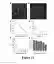 Fig. 17 - Chemical synthesis and screening of bicyclic peptide libraries
