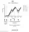 Fig. 12 - Methods of inducing an immune response against HIV-1 using recombinant envelopes with improved coverage