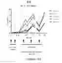 Fig. 15 - Methods of inducing an immune response against HIV-1 using recombinant envelopes with improved coverage