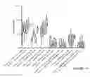 Fig. 20 - Methods of inducing an immune response against HIV-1 using recombinant envelopes with improved coverage
