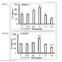 Fig. 05 - Use of an immunomodulatory protein from in promoting neurite outgrowth