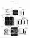 Fig. 19 - Methods for treating inflammatory responses or diseases caused by inflammation using ApoA-I binding protein (APOA1BP)